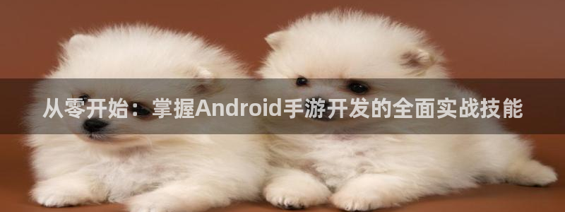 28大神下载苹果：从零开始：掌握Android手游开发的全面