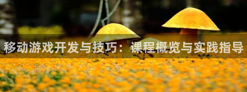 pc28大神苹果下载：移动游戏开发与技巧：课程概览与实践指导