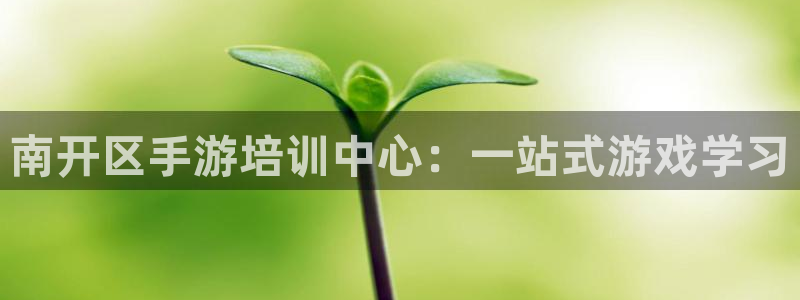 28大神现在是什么：南开区手游培训中心：一站式游戏学习