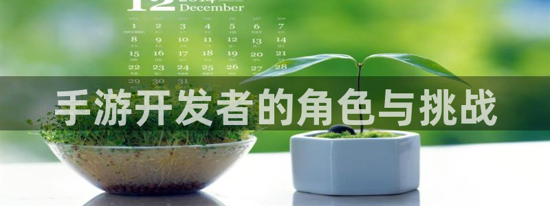 大神28加拿大在线上分：手游开发者的角色与挑战