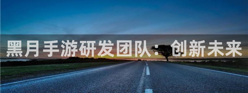 28大神专业版官网：黑月手游研发团队：创新未来