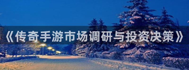28大神专业版下载地址：《传奇手游市场调研与投资决策》