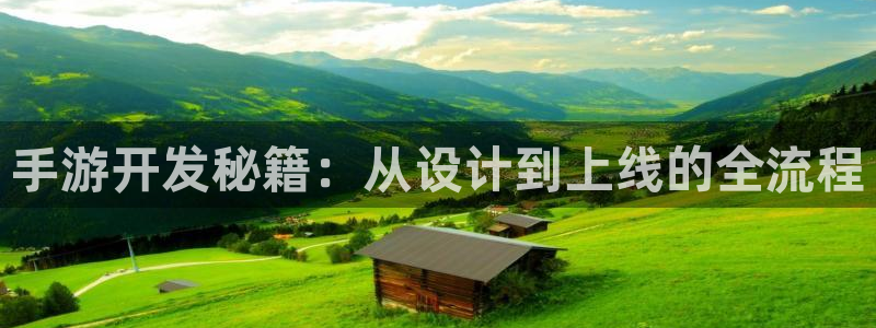 28大神ios版：手游开发秘籍：从设计到上线的全流程