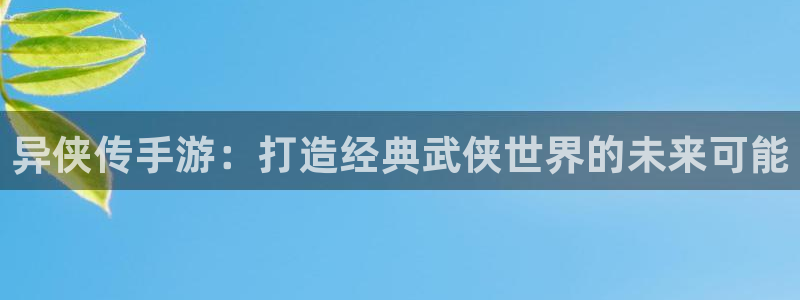 28加拿大大神下载：异侠传手游：打造经典武侠世界的未来可能