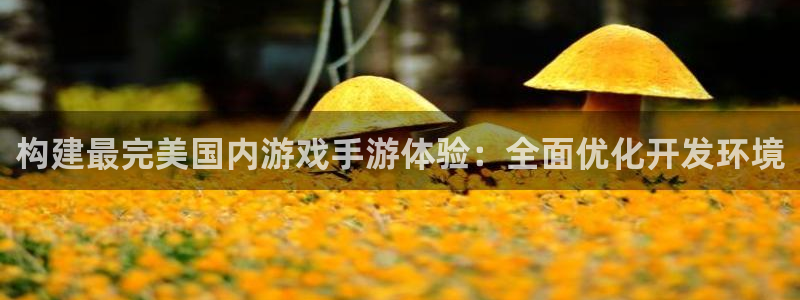 28大神官网预测：构建最完美国内游戏手游体验：全面优化开发环