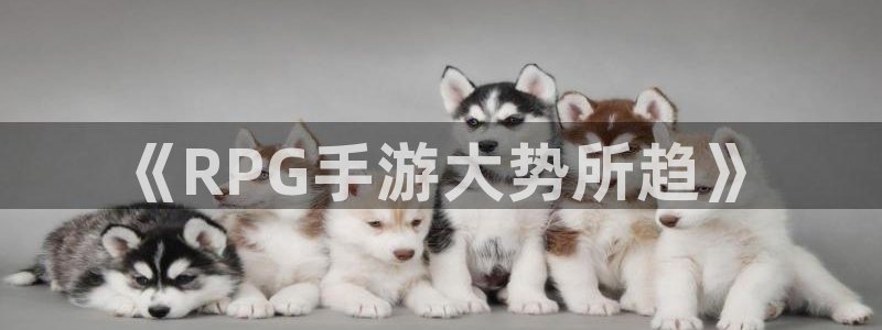 28大神官方网站手机版