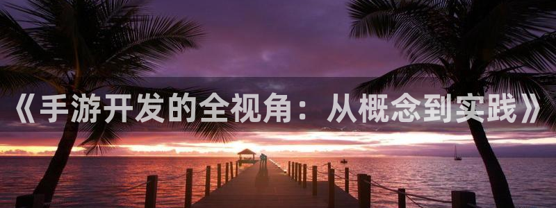 大神28app官网下载：《手游开发的全视角：从概念到实践》