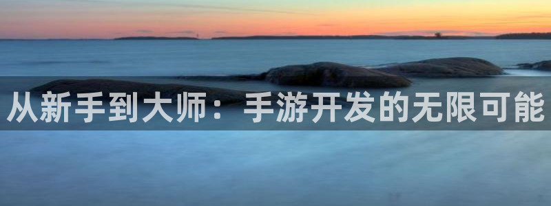28大神软件不能用了：从新手到大师：手游开发的无限可能