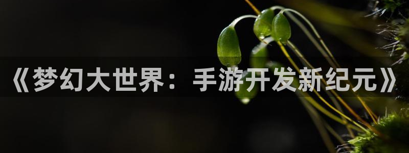 28大神怎么下载不了：《梦幻大世界：手游开发新纪元》