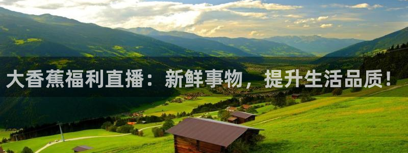 88看球nba在线直播：大香蕉福利直播：新鲜事物，提升生活品质！