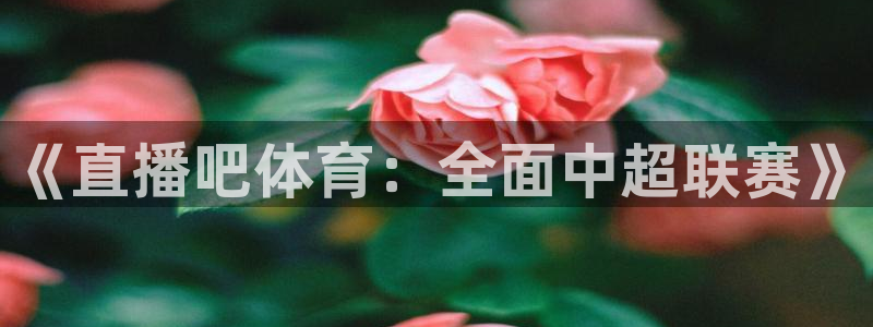 88看球app直播