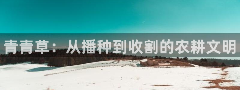 nba直播在线观看88看球：青青草：从播种到收割的农耕文明