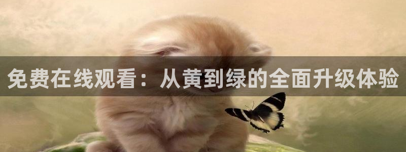 nba直播免费88看球：免费在线观看：从黄到绿的全面升级体验