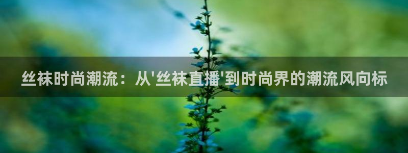 88看球网nba在线直播观看：丝袜时尚潮流：从\'丝袜直播\'到时尚界的潮流风向标