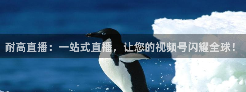 88看球直播app下载：耐高直播：一站式直播，让您的视频号闪耀全球！