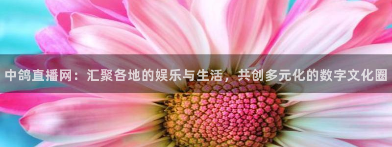 88看球nba直播间：中鸽直播网：汇聚各地的娱乐与生活，共创多元化的数字文化圈