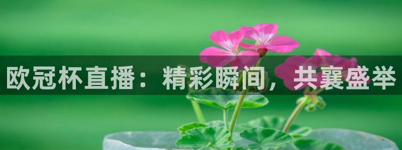 nba88看球在线直播：欧冠杯直播：精彩瞬间，共襄盛举