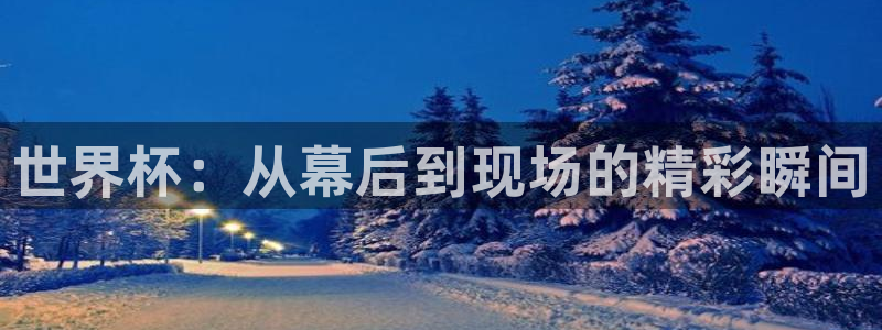 88看球app直播：世界杯：从幕后到现场的精彩瞬间